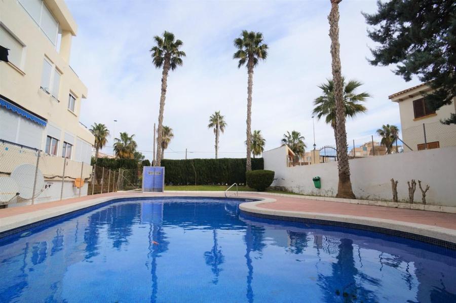 Studio In The Sun Apartment Torrevieja Exterior photo